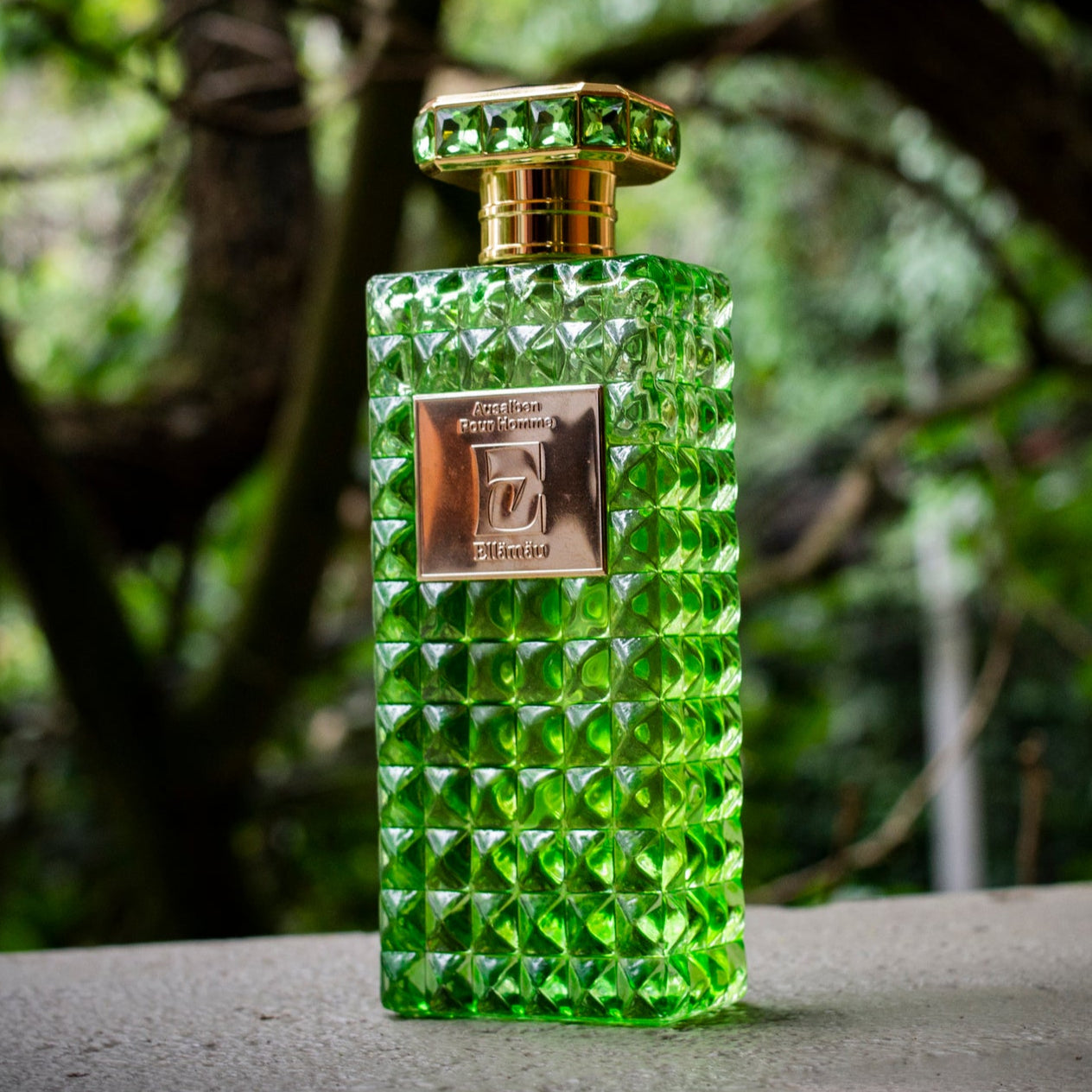 Perfume Ausalben pour Homme